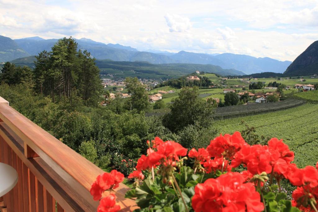 Kreuzstein Bed&Breakfast Аппиано-Сулла-Страда-дель-Вино Номер фото